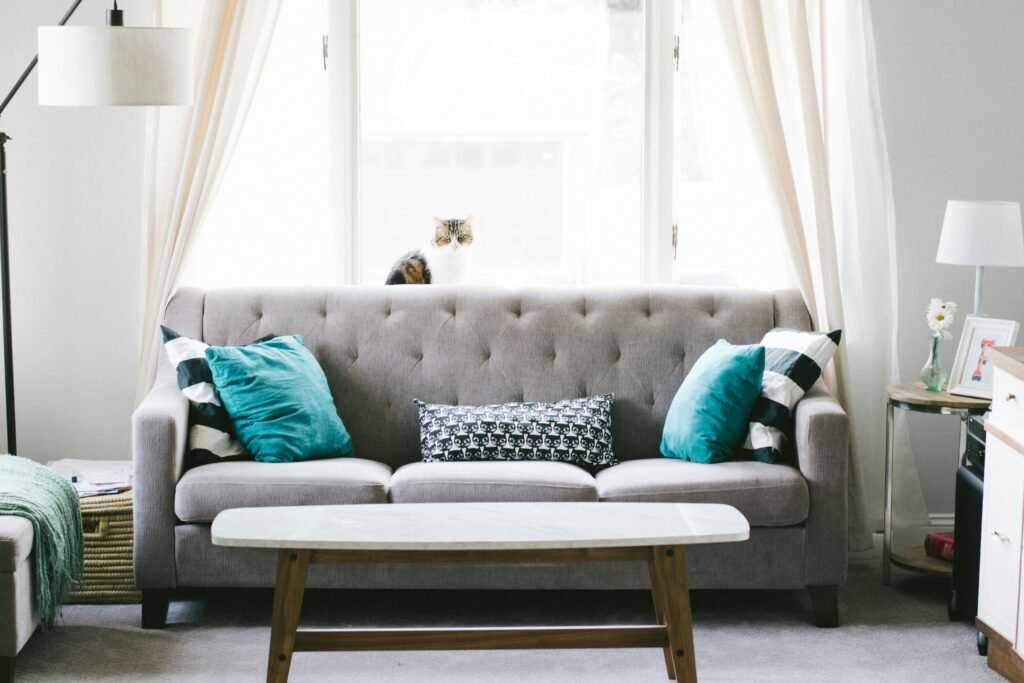 sofa cinza com almofadas azuis