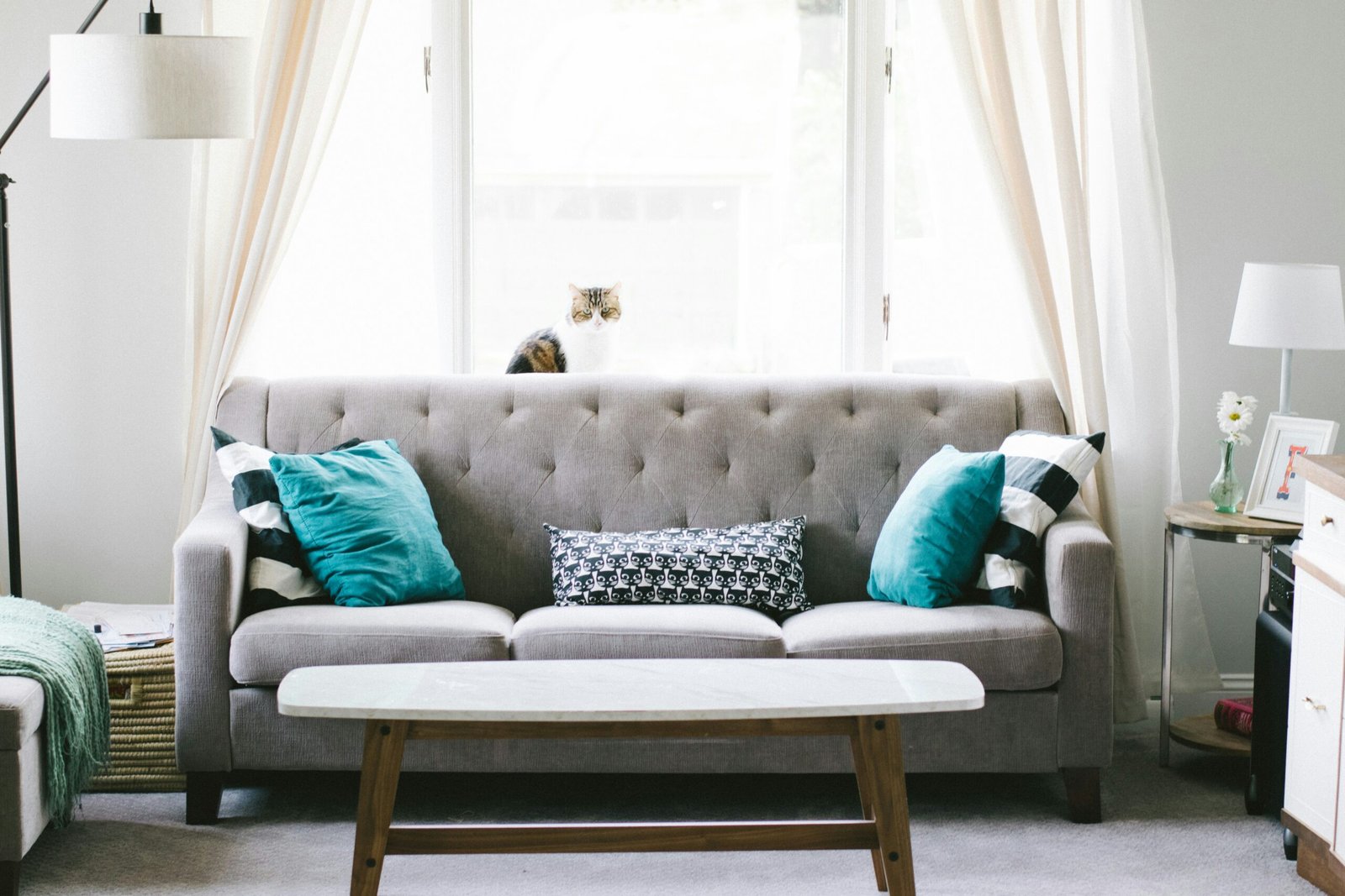 sofa cinza com almofadas azuis