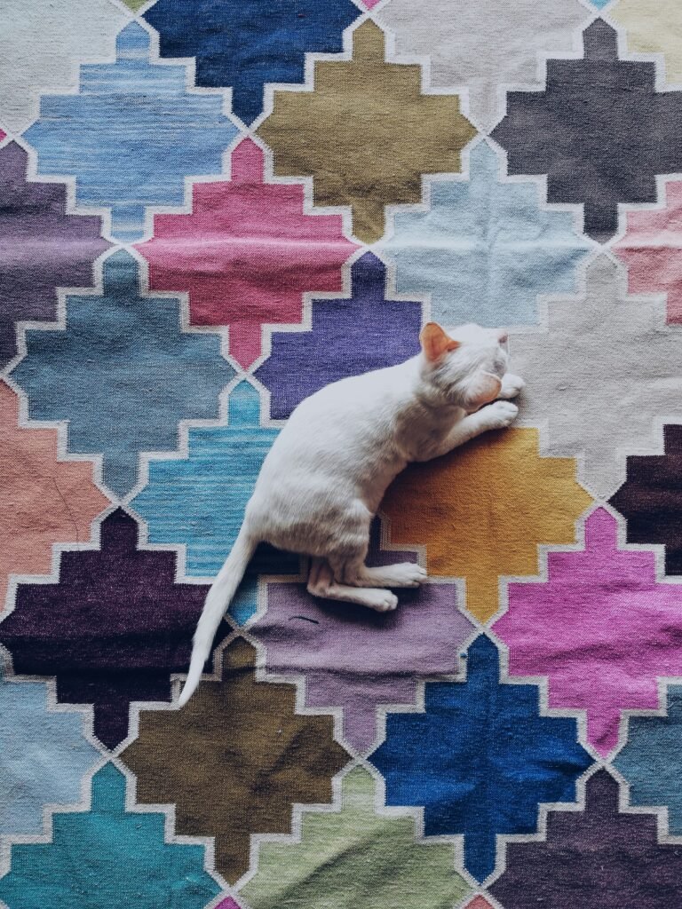 um gato branco em um tapete geométrico colorido 